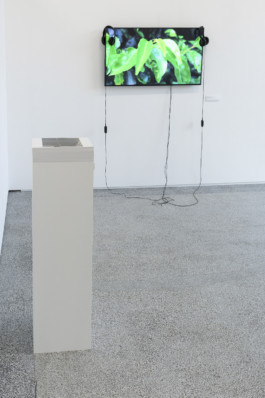 Jens Liebchen